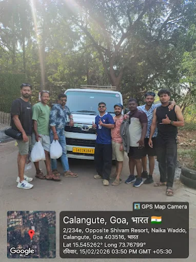 Palm trees and road in Goa